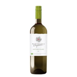 BUDUREASCA Organic Sauvignon Blanc vin alb sec din podgoria Dealu Mare