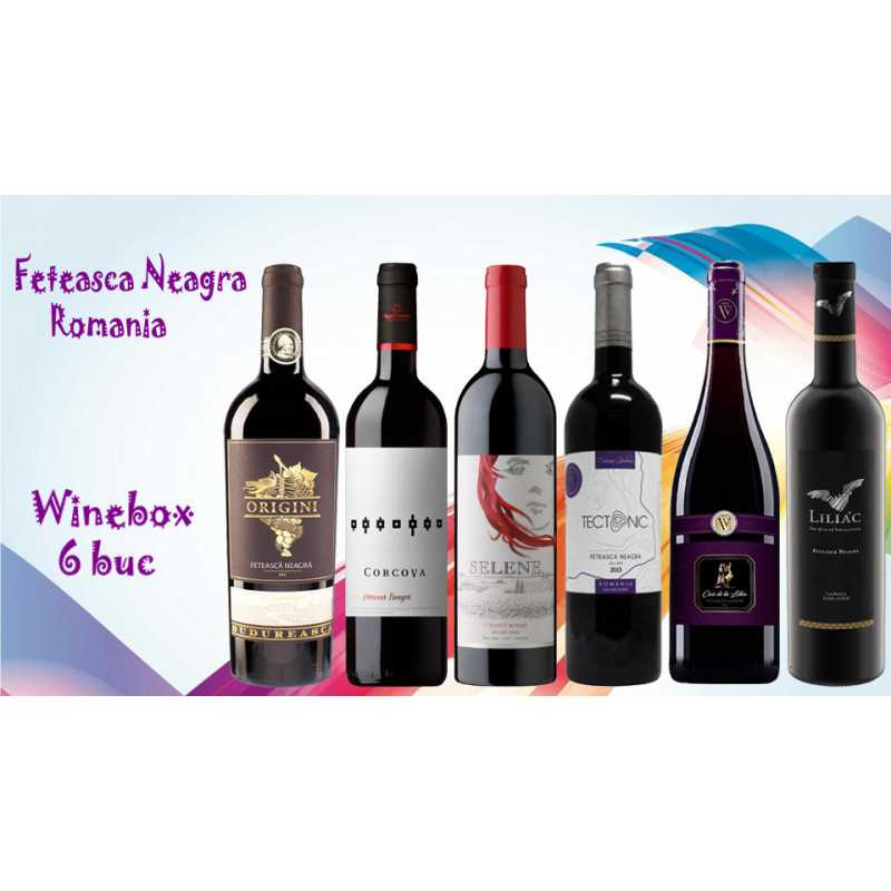 WineBox Feteasca Neagra SEC Romania 6 sticle de feteasca negra.